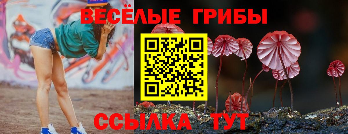 Галлюциногенные грибы прущие грибы  Вход с VPN  Оренбург 